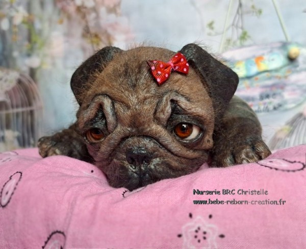 B Monty simon Laurens (4)